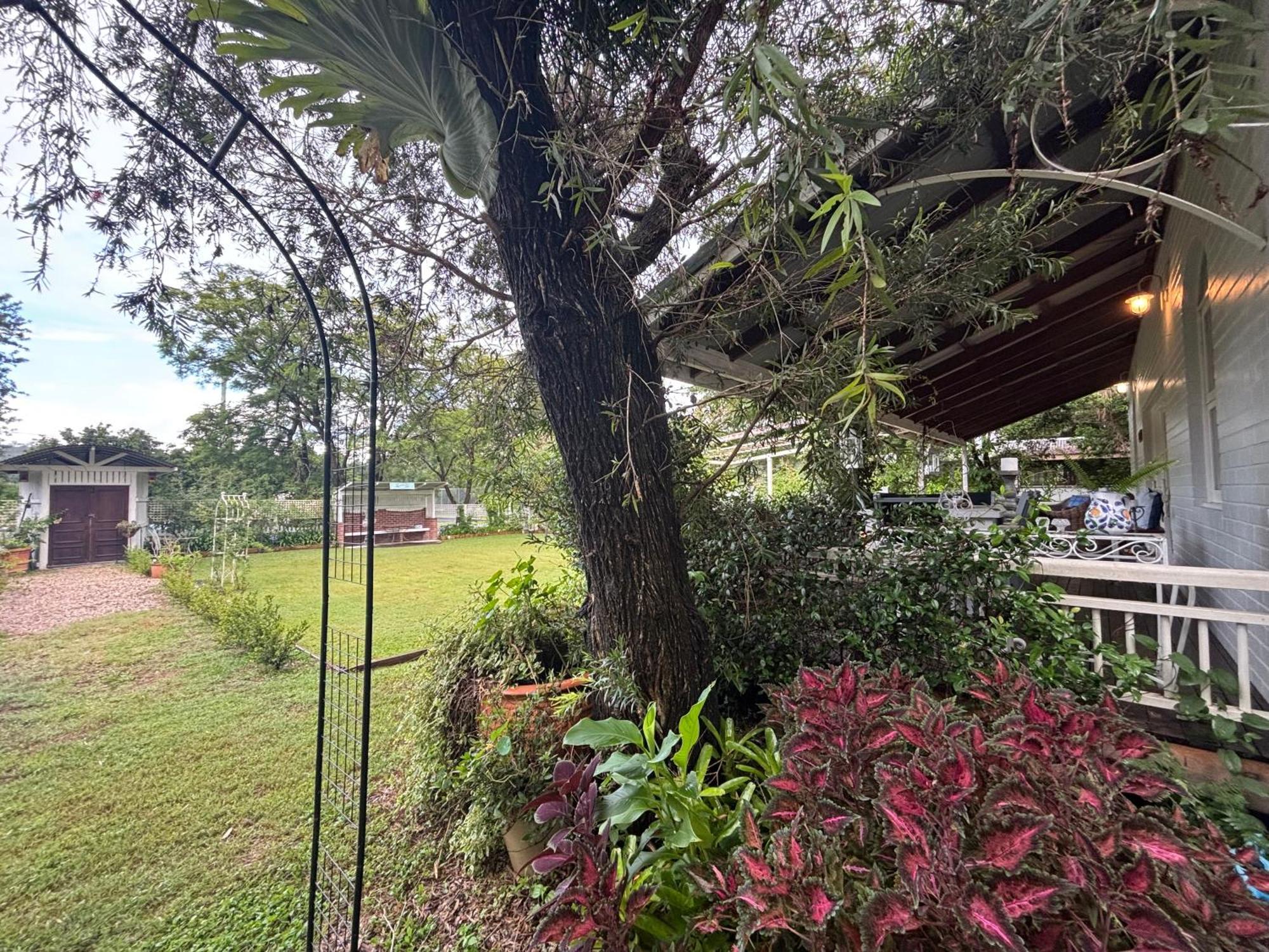Celestial Dew Guesthouse In Tyalgum Exterior foto